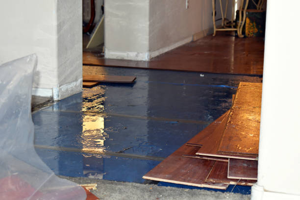 Professional Basement Flood Cleanup technician working in Normandy, MO